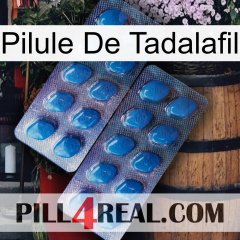 Tadalafil Pill viagra2